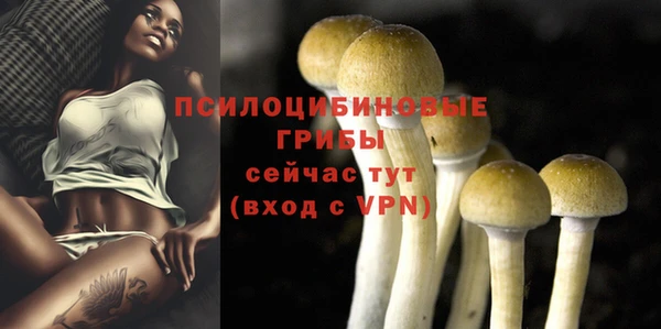 спиды Тихвин