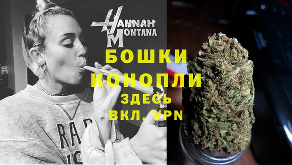 стаф Волосово