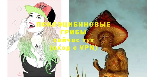 гидра Волоколамск