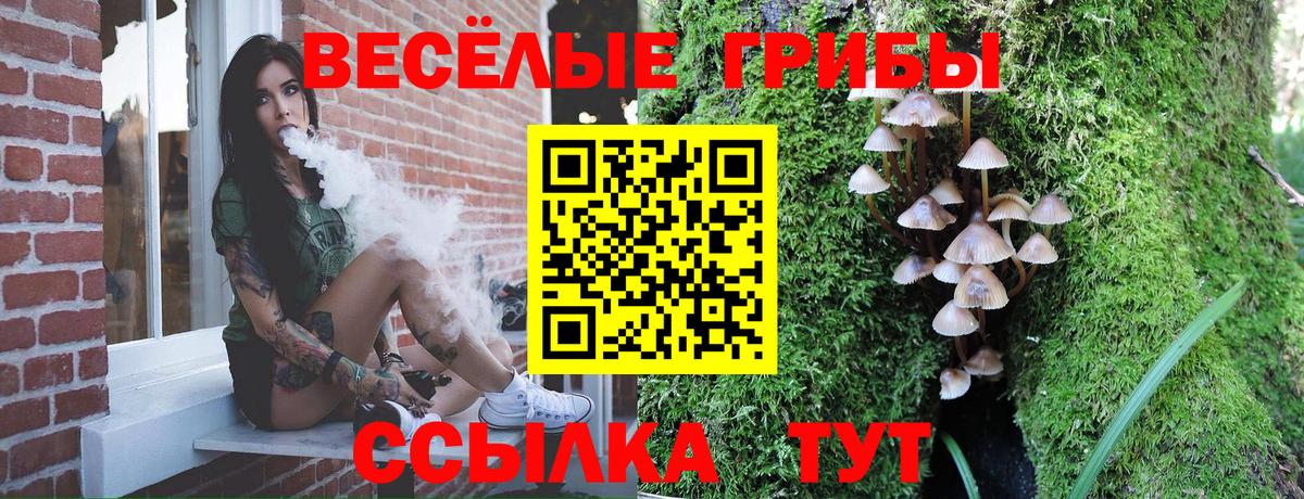 Псилоцибиновые грибы прущие грибы Краснодар