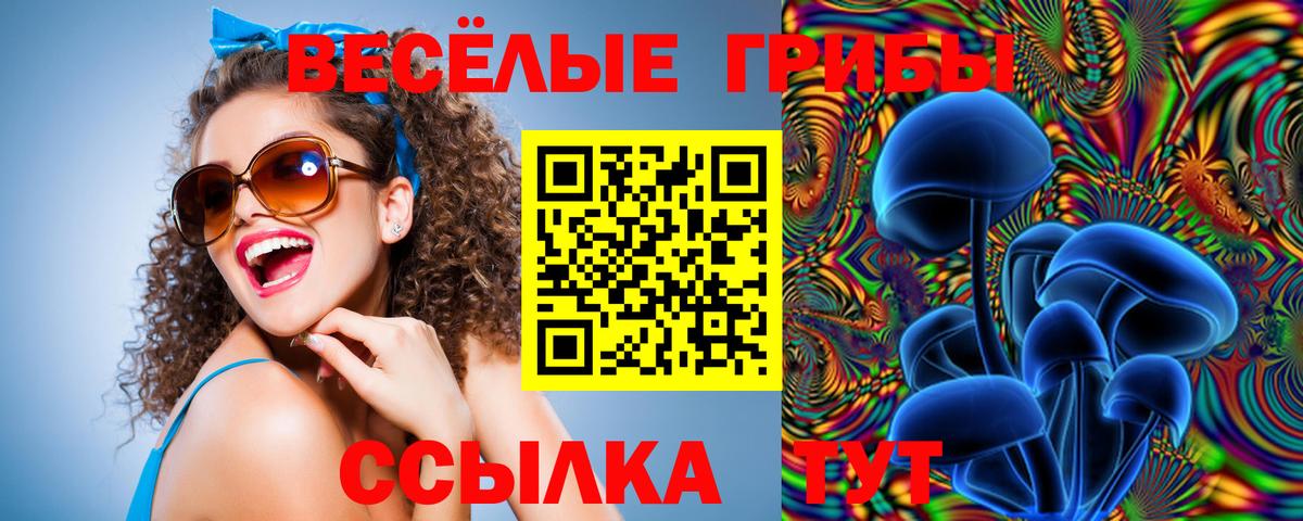 Галлюциногенные грибы прущие грибы  Галлюциногенные грибы прущие грибы  Вход с VPN  Краснодар 